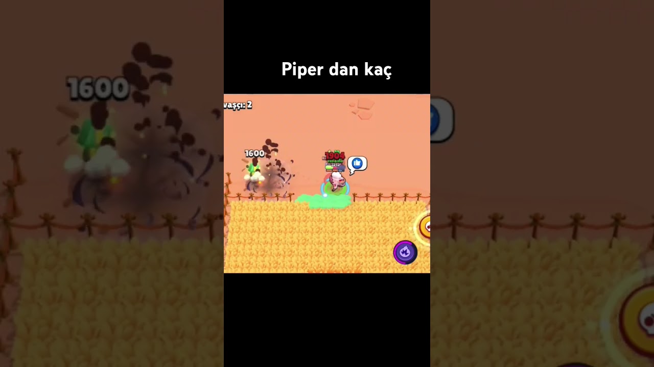 Piper dan ka&ccedil;