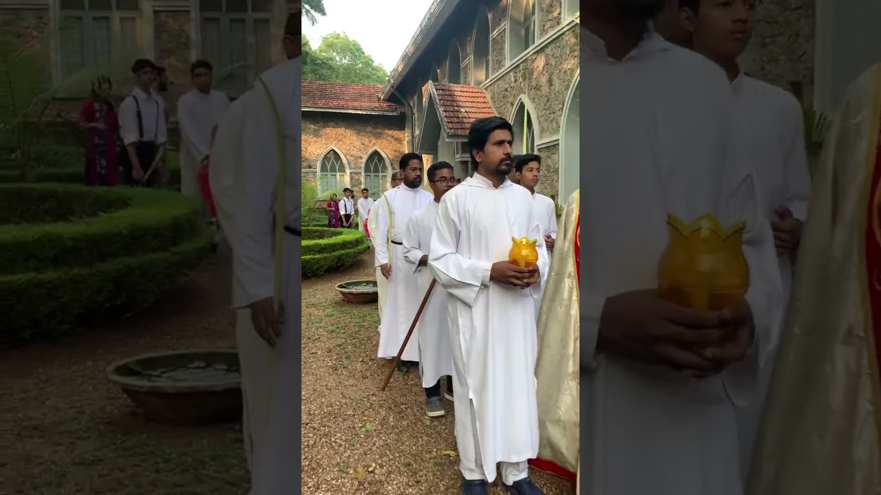 Palm Sunday Procession | #shorts
