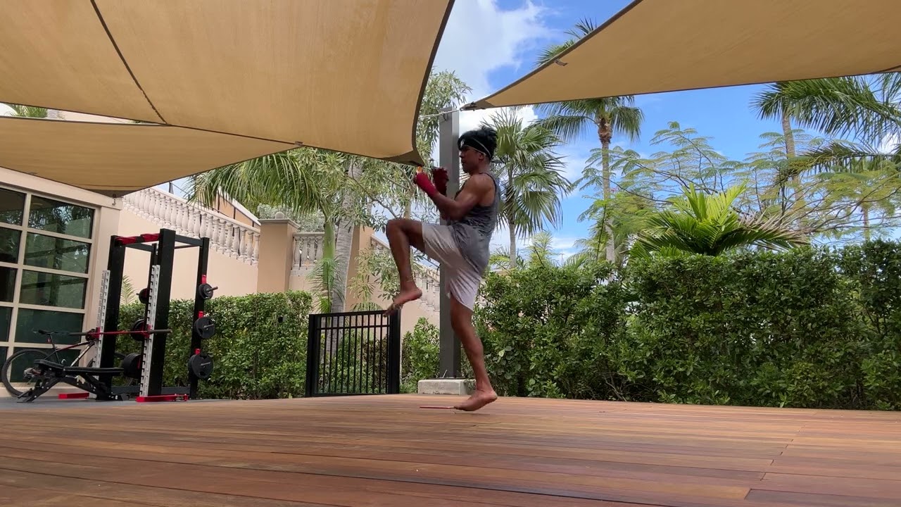 Lead knee left front and house kick left 