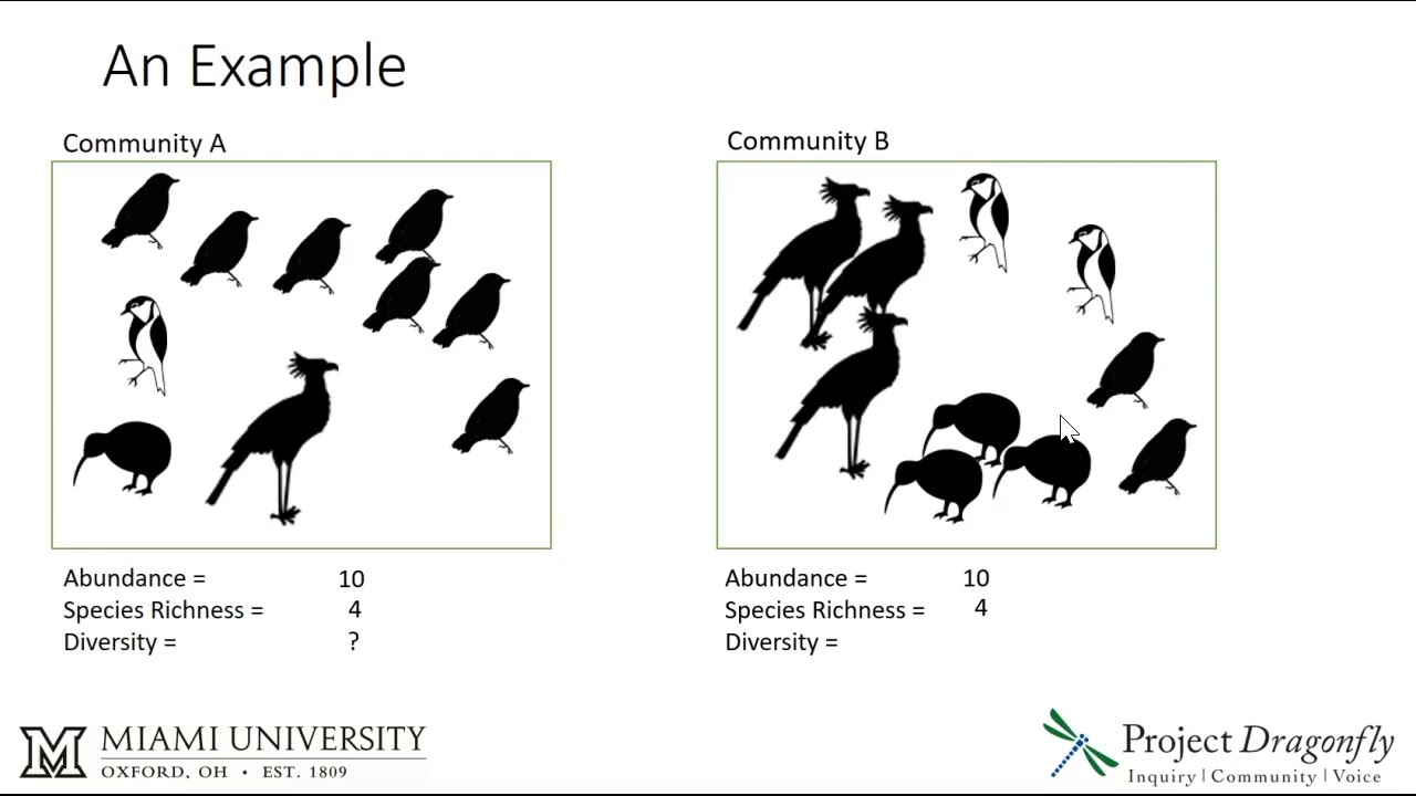 Abundance, species richness, and diversity