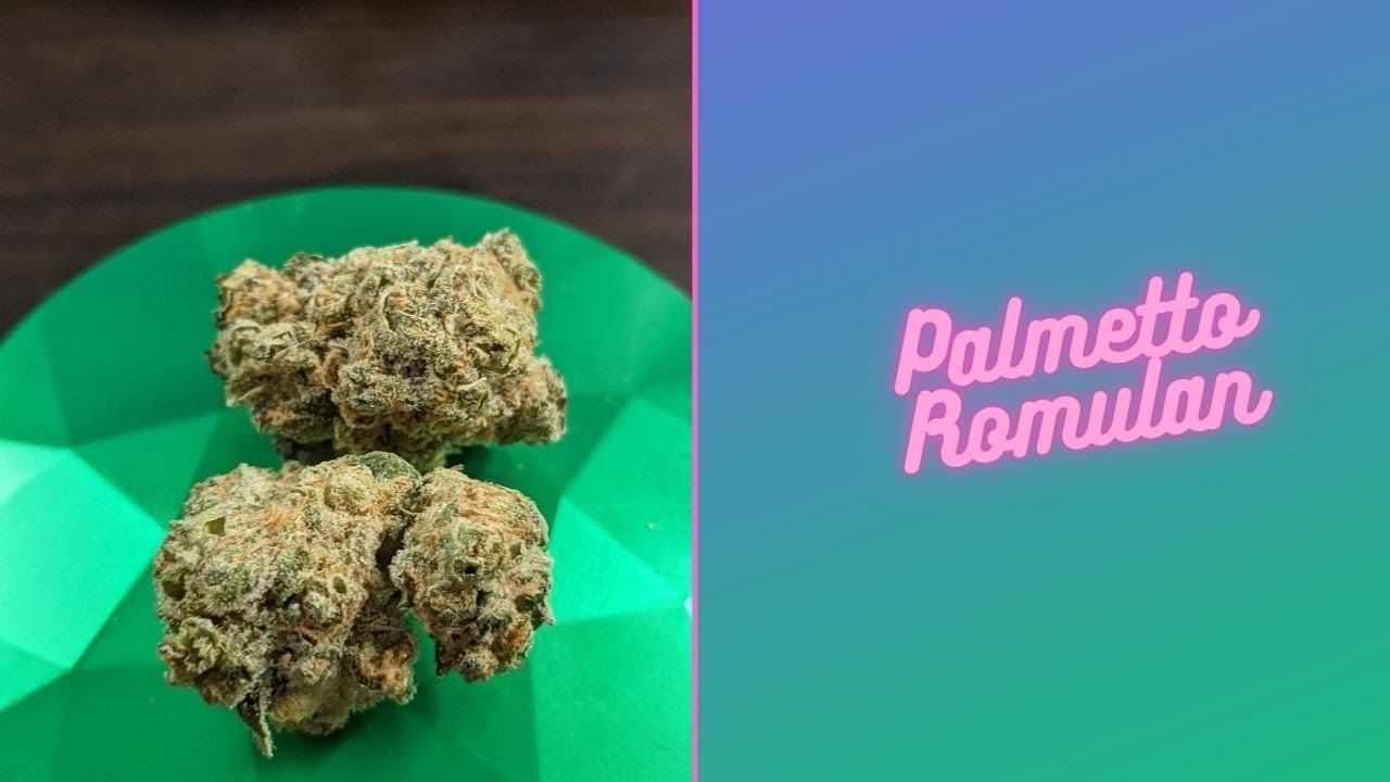 Palmetto Romulan Review