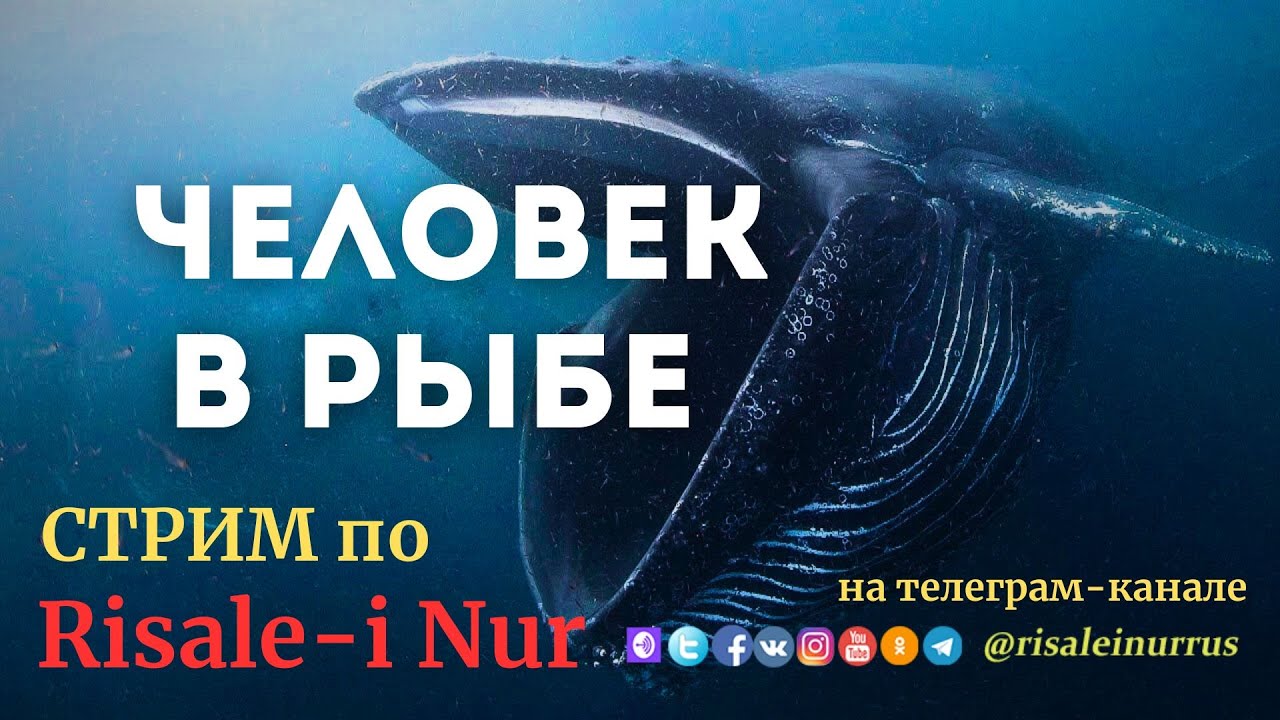 #СТРИМ - ИСПЫТАНИЯ И МОЛИТВА ПРОРОКА ЮНУСА (мир ему!) #нурси #дуа #молитва #иман #саморазвитие