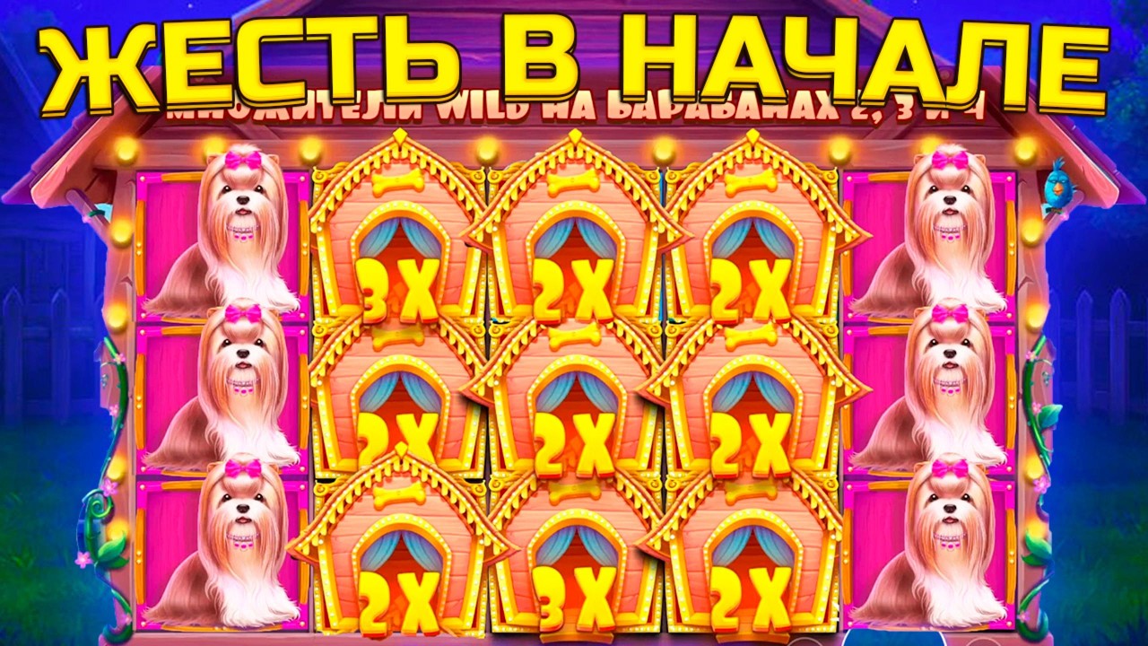 ЛУЧШАЯ СЕССИЯ С 7 000 В СОБАКАХ, КУЧА БОНУСОК