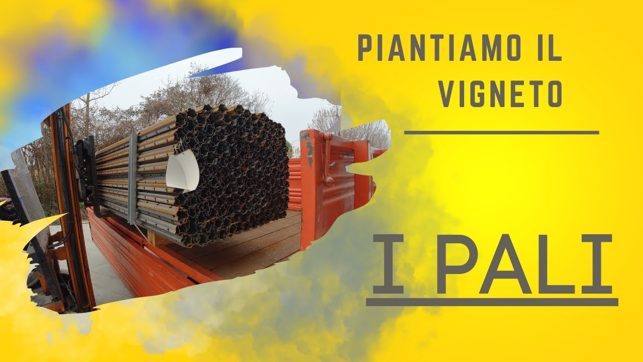 VIGNETO NUOVO#2  - I PALI