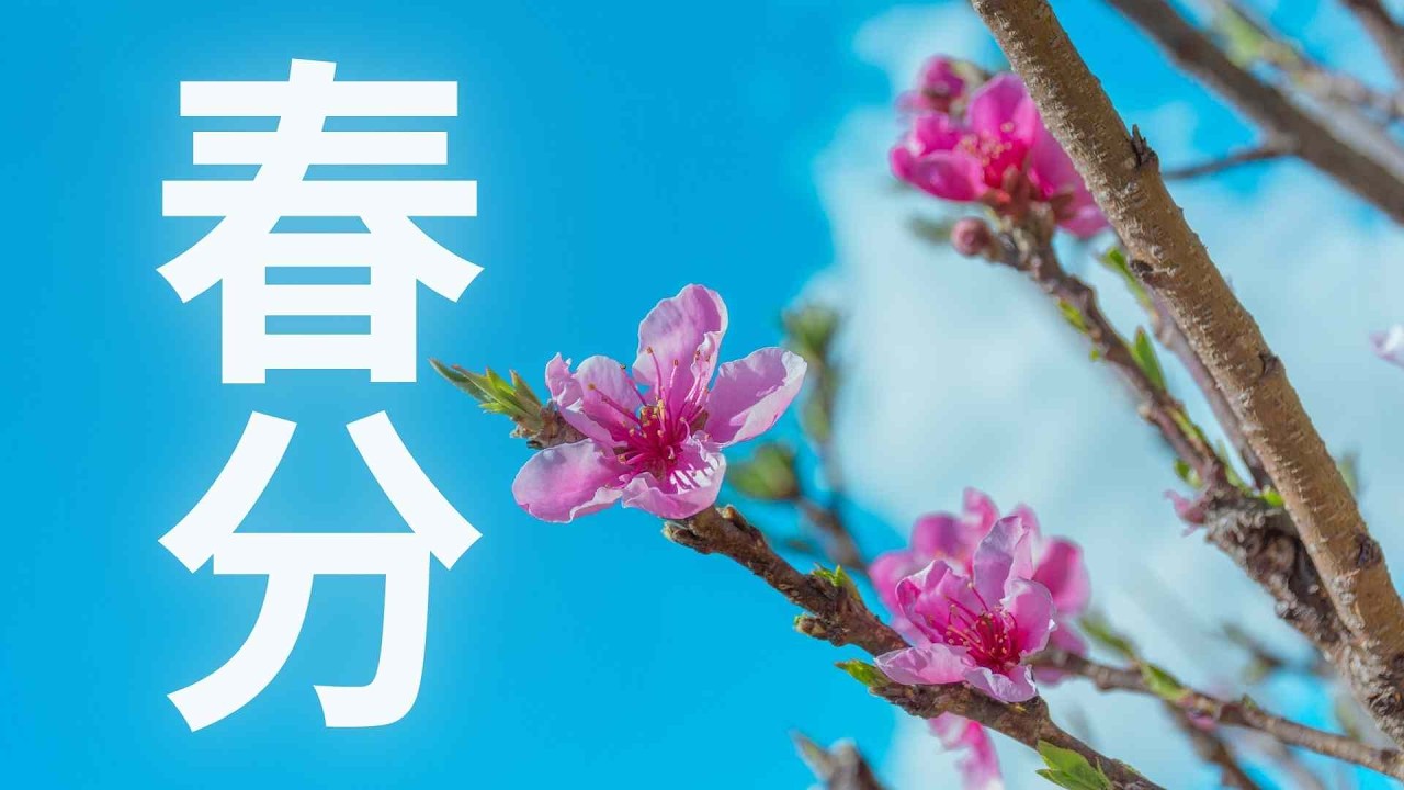 2026年3月20日 春分宇宙能量訊息｜如何與春分能量對齊？開啟新的生命循環｜春分能量啟動儀式#春分 #春分能量 #2026