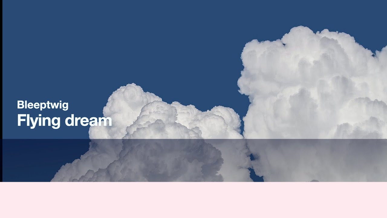 Flying Dream // Bleeptwig