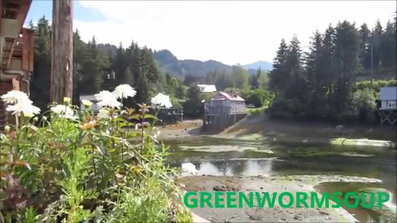 SELDOVIA ALASKA TRIP