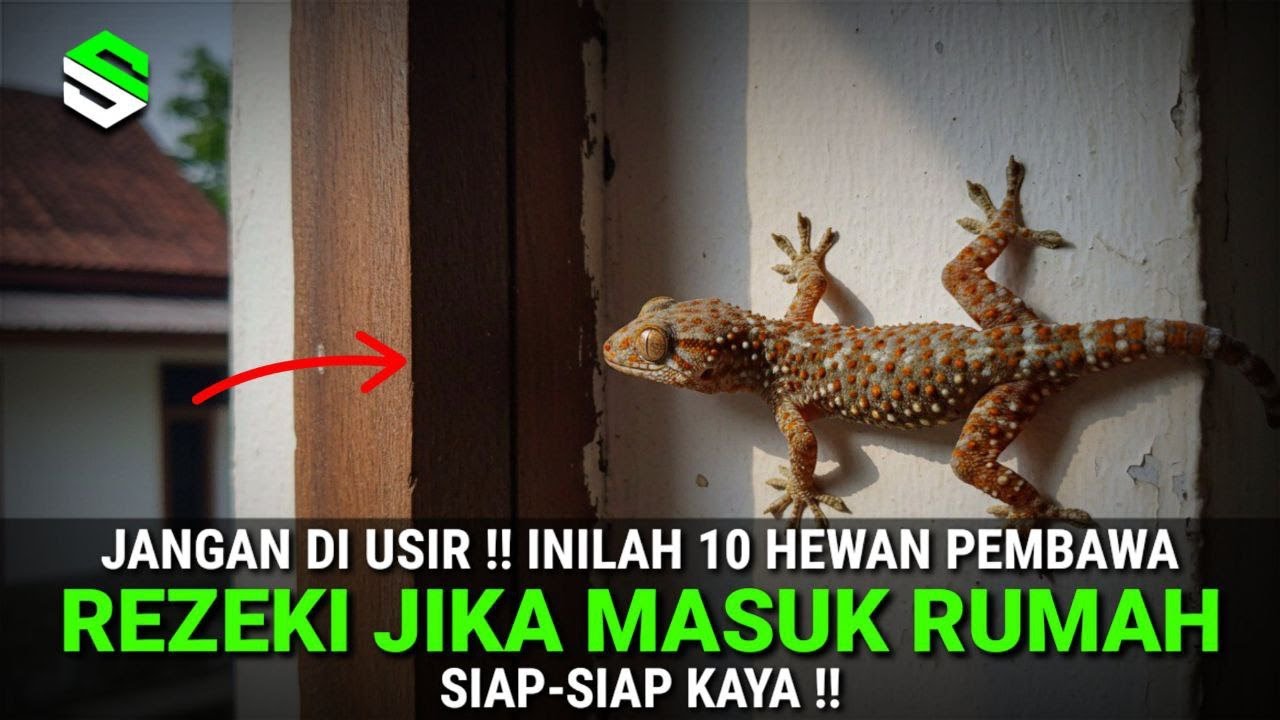 SIAP SIAP KAYA !! 10 Hewan Hewan Pembawa Rezeki Jika Masuk Rumah Anda