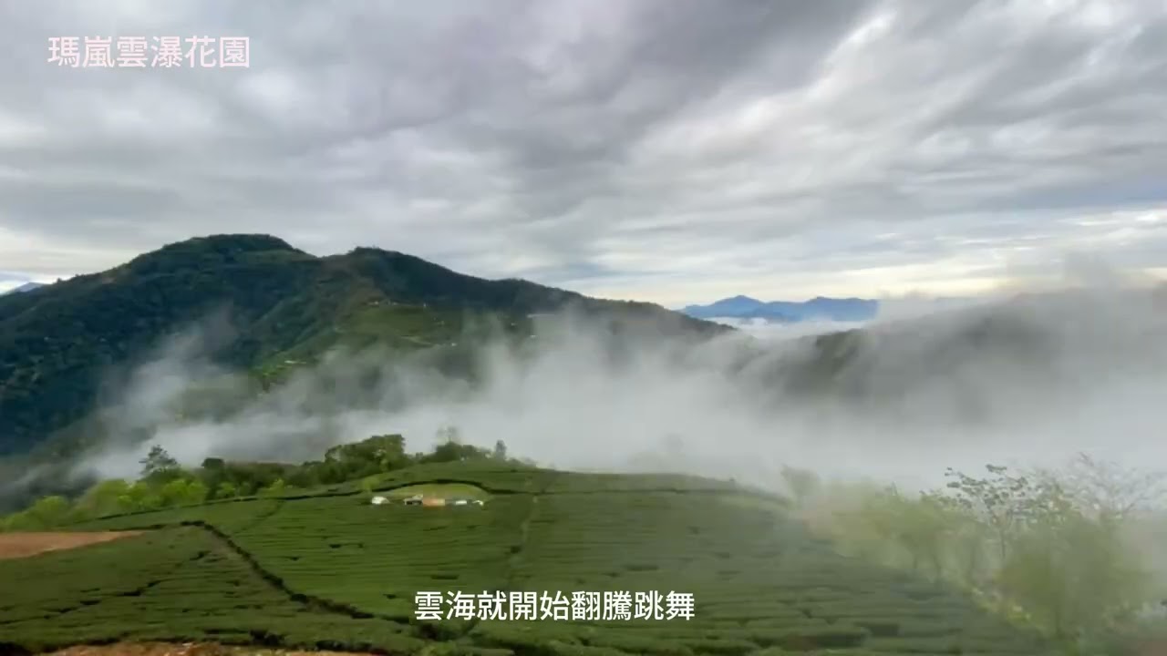 瑪嵐旅遊~ 雲上跳床日記#武界#祕境#雲海日出#民宿#毛毛蟲山#高山茶#櫻花#繡球花#愛情花#一線天#深度旅遊#原住民#南投旅遊