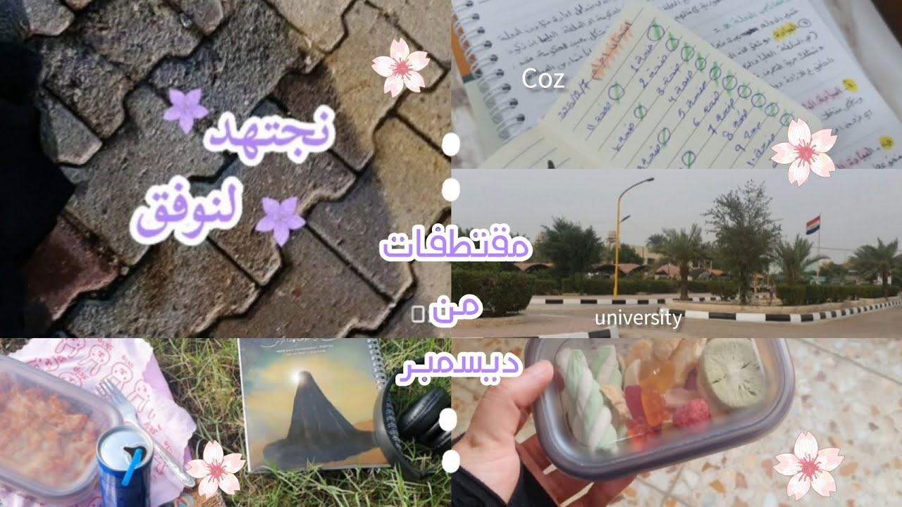 ايام ديسمبر الجميلة 🌱/امتحانات، طلعات، دراسة، ترفيه 🌷💗