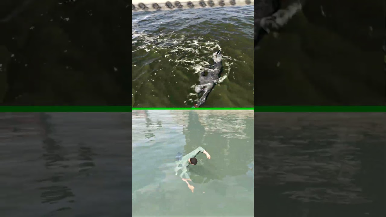 WATER PHYSICS COMPARISON (WATCH DOGS VS GTA 5)
