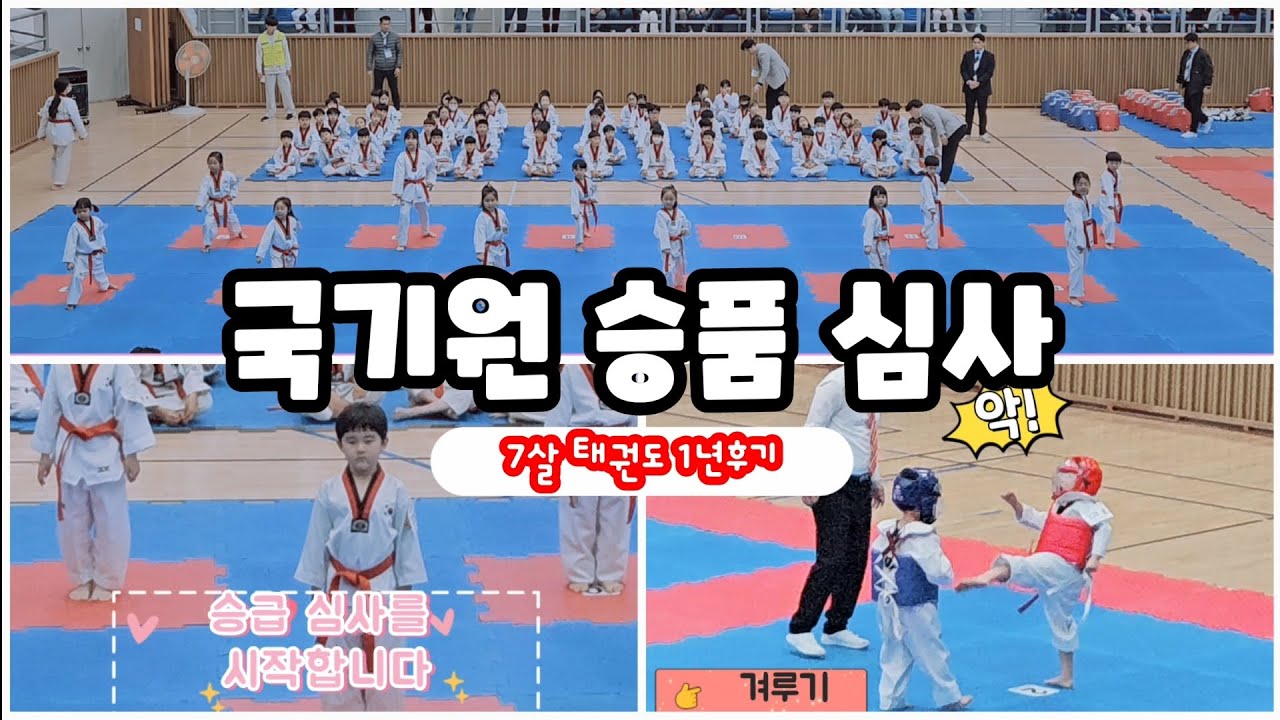 태권도 국기원 승품심사/1품/품새/겨루기/7살 예비초등 1학년/ 경기광주 태전동 스타태권도