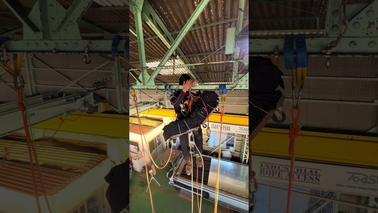 カラビナ1枚　エイドクライミングレスキュー
