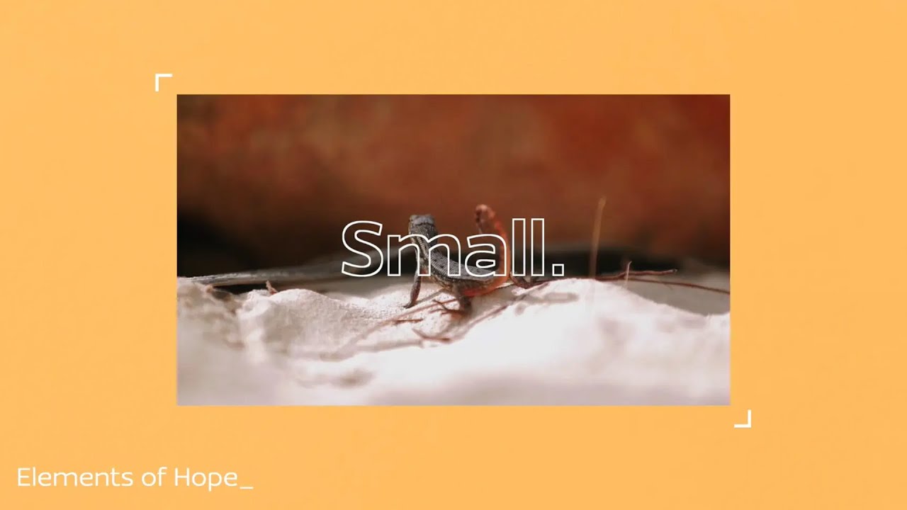 Am I too small to make a difference?