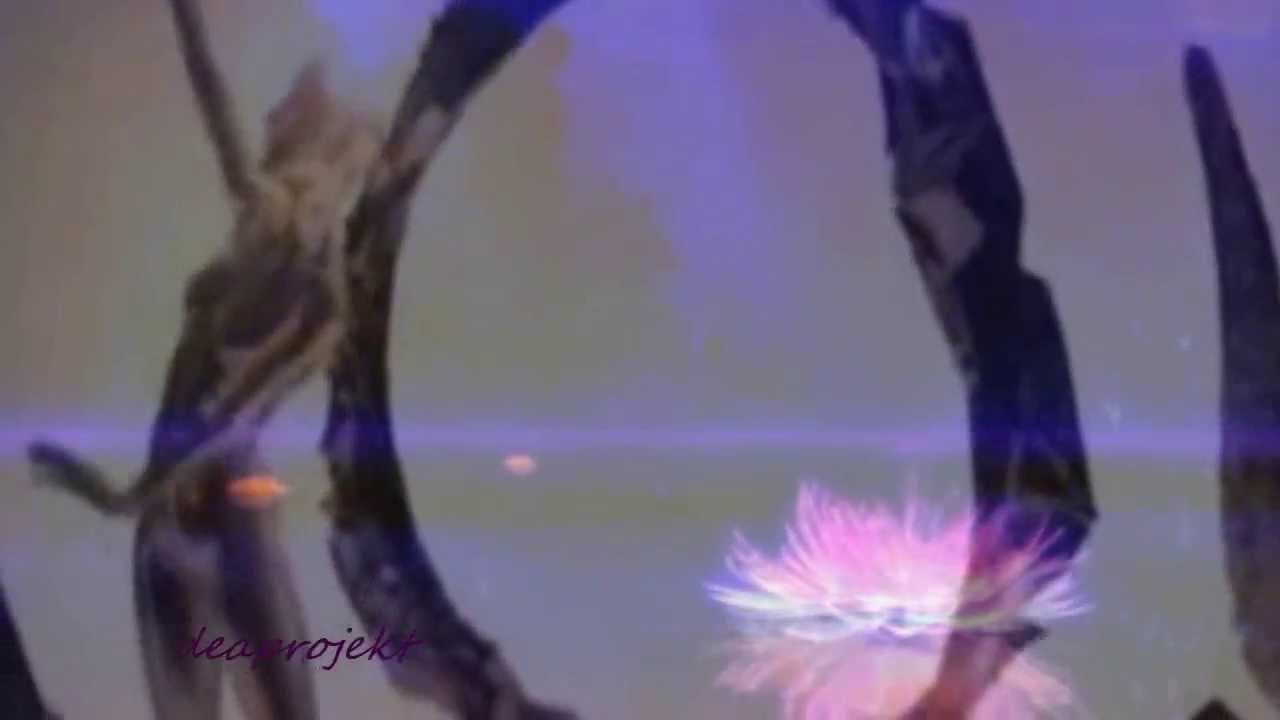 Feierliche Abendmusik ♪ Hesse ♪ Dagmar Manzel ♪♫ deaprojekt