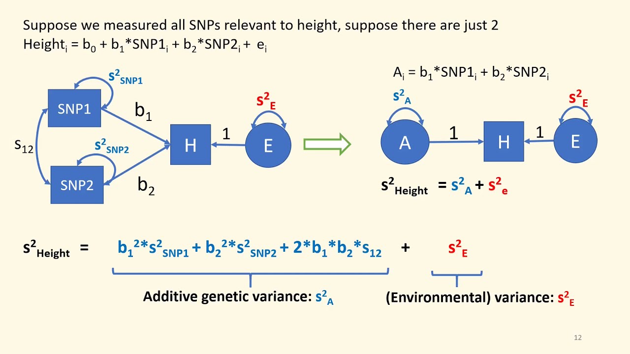 Linear Regression and Modeling Genetic Covariance Structures