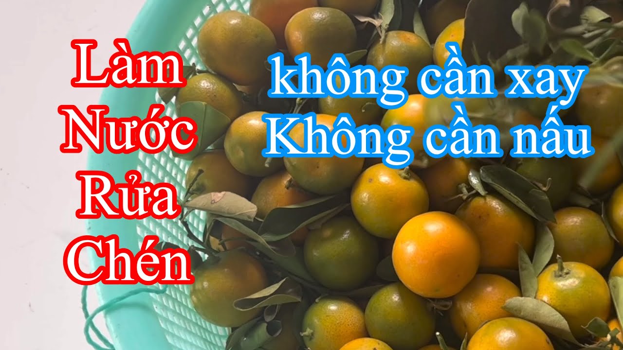 cách làm nước rửa chén tại nhà bằng trái tắc