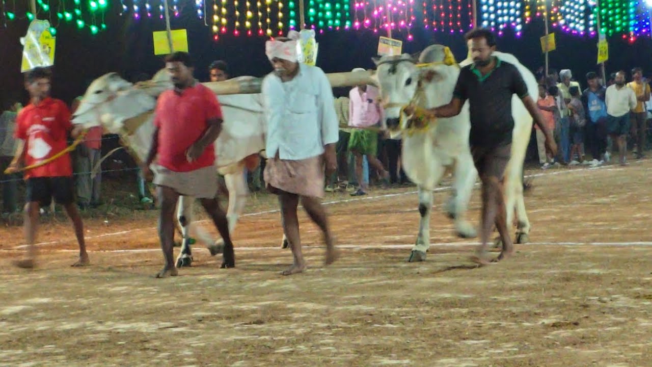 మాచవరం గ్రామం టచ్ పళ్ళు విభాగం 12వ జత