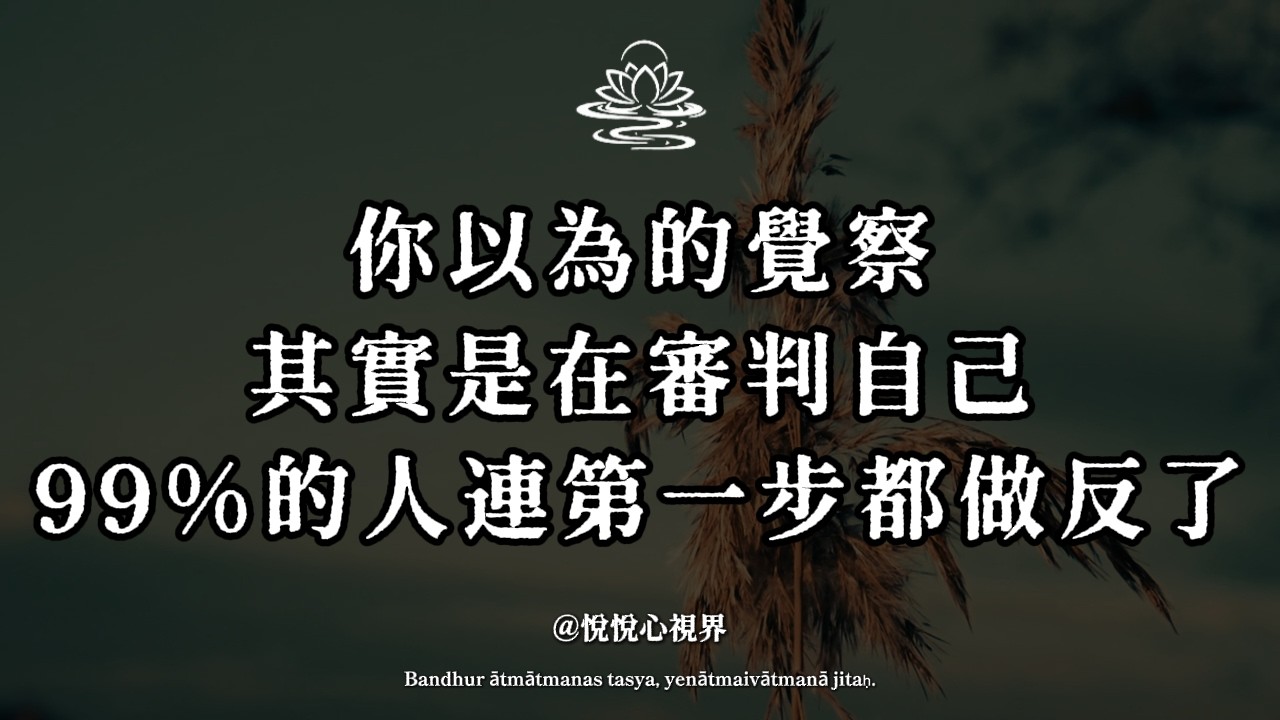 你以為的覺察，其實是在審判自己！九成人連第一步都做反了。 #自我覺察 #正念 #內在小孩 #靈性誤區 #停止內耗