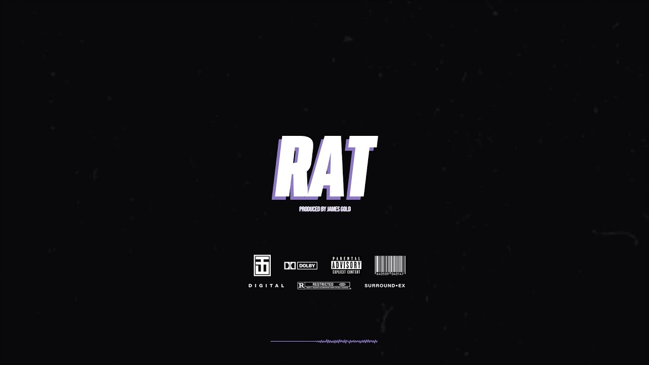 [FREE] Rich Dunk x Stunna 4 Vegas Type Beat - RAT | Prod. by James Gold