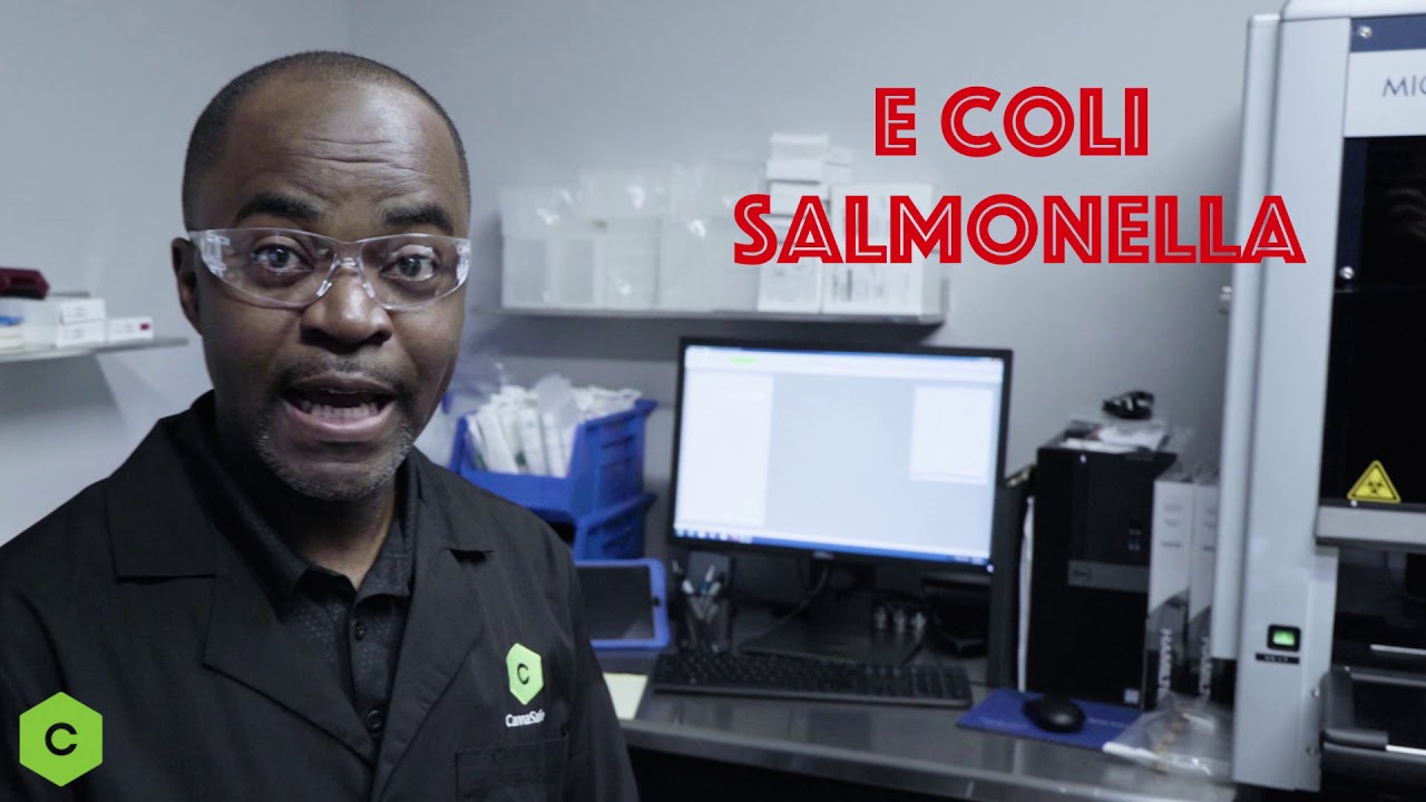 CannaSafe Lab Lesson: Microbiology