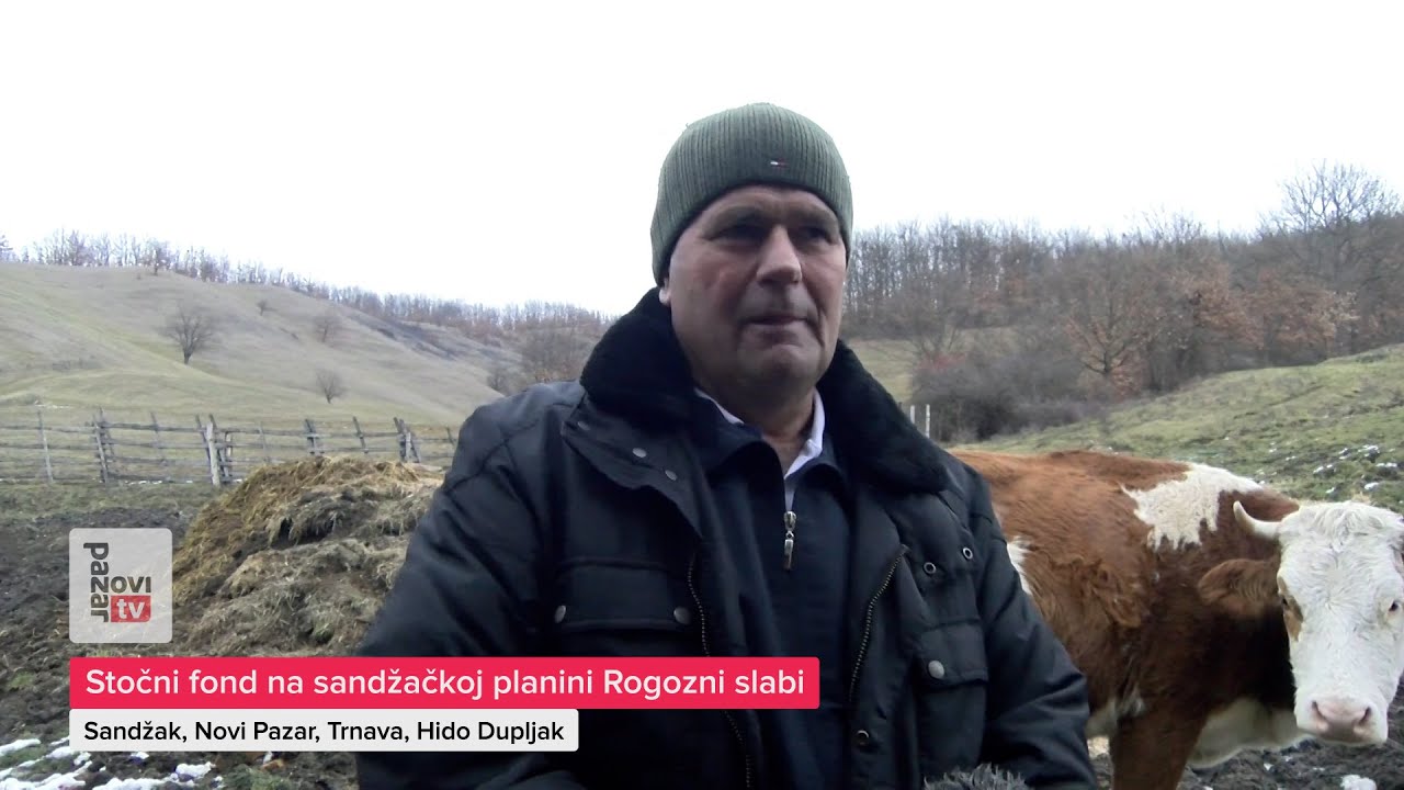 Stočni fond na sandžačkoj planini Rogozni slabi
