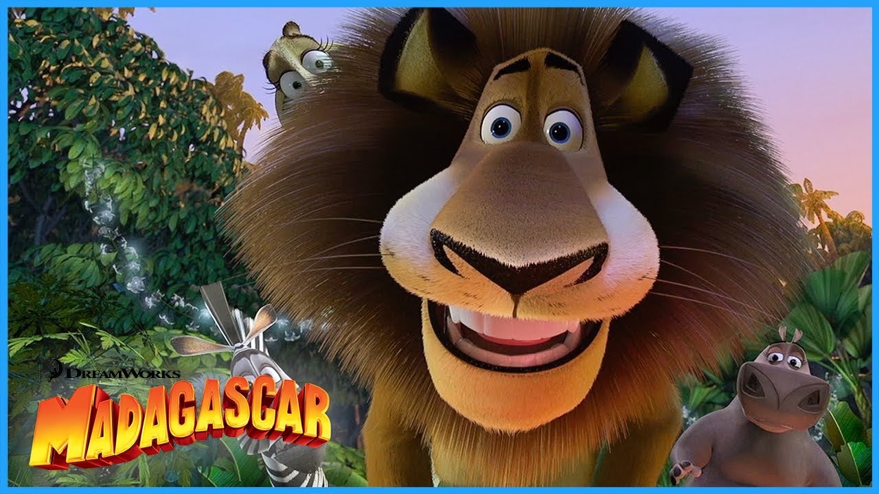 The Most Iconic Madagascar Moments EVER 🦓😆 | DreamWorks Madagascar