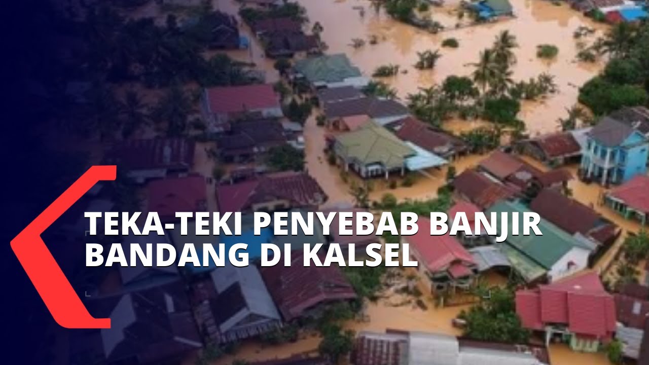 Beda Pandangan Walhi dan KLHK Terkait Penyebab Banjir Bandang di Kalimantan Selatan
