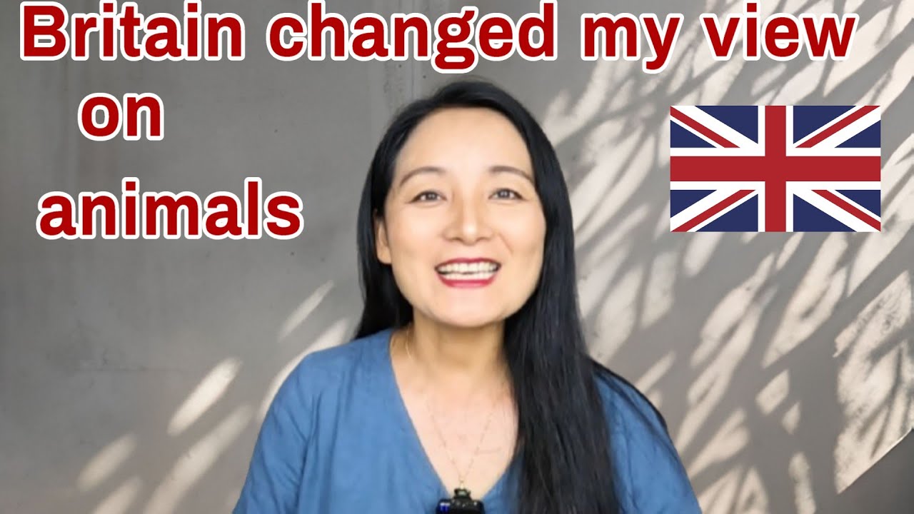 Britain changed my view on animals。