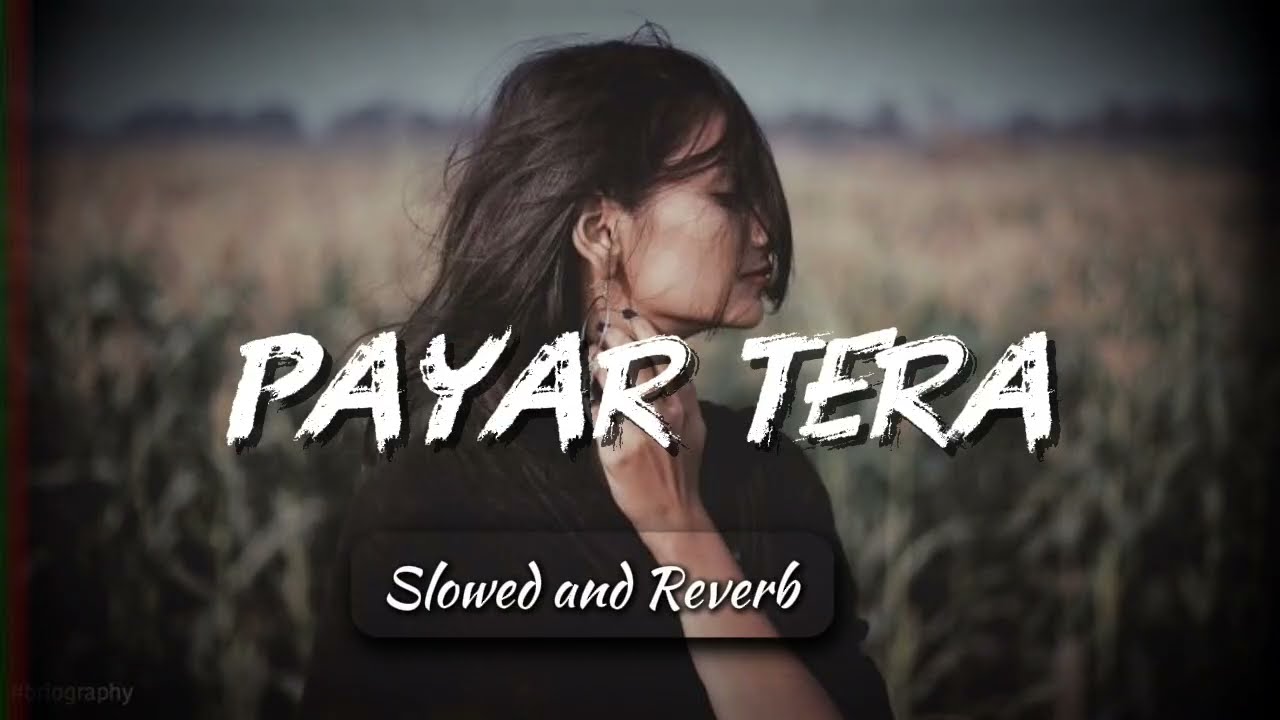 Pyar Tera (Lofi) | Sad Romantic Song | Heart Touching Hindi Lofi | Late Night Vibes