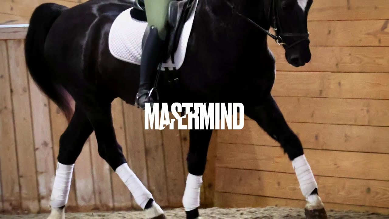 Mastermind
