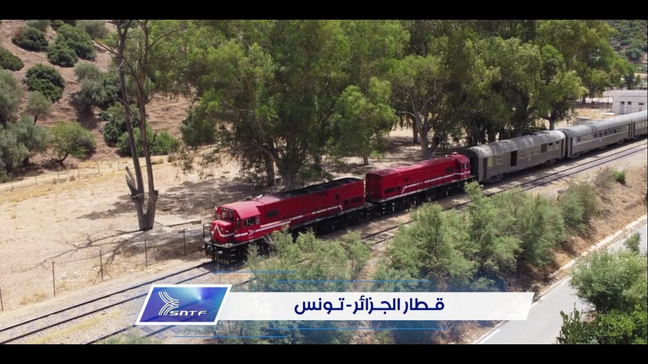 القطار الدولي الجزائر تونس