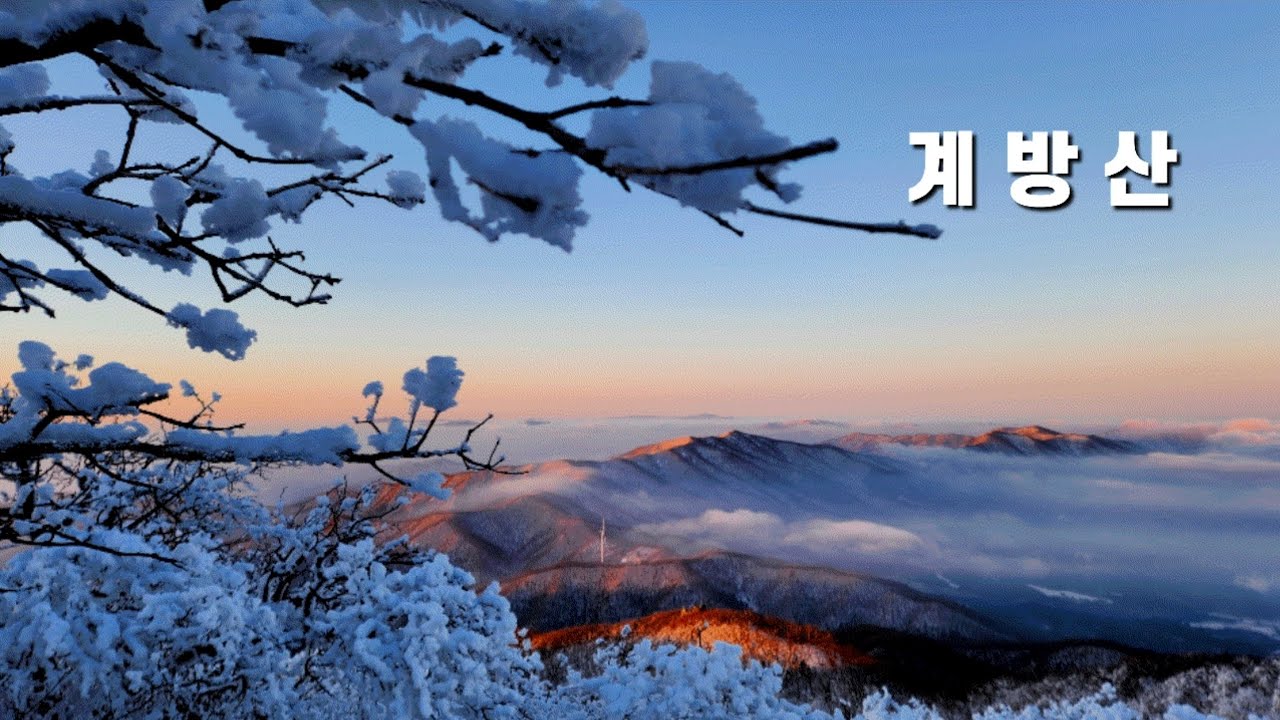 계방산 눈꽃산행 | 일찍...일어나는 새들