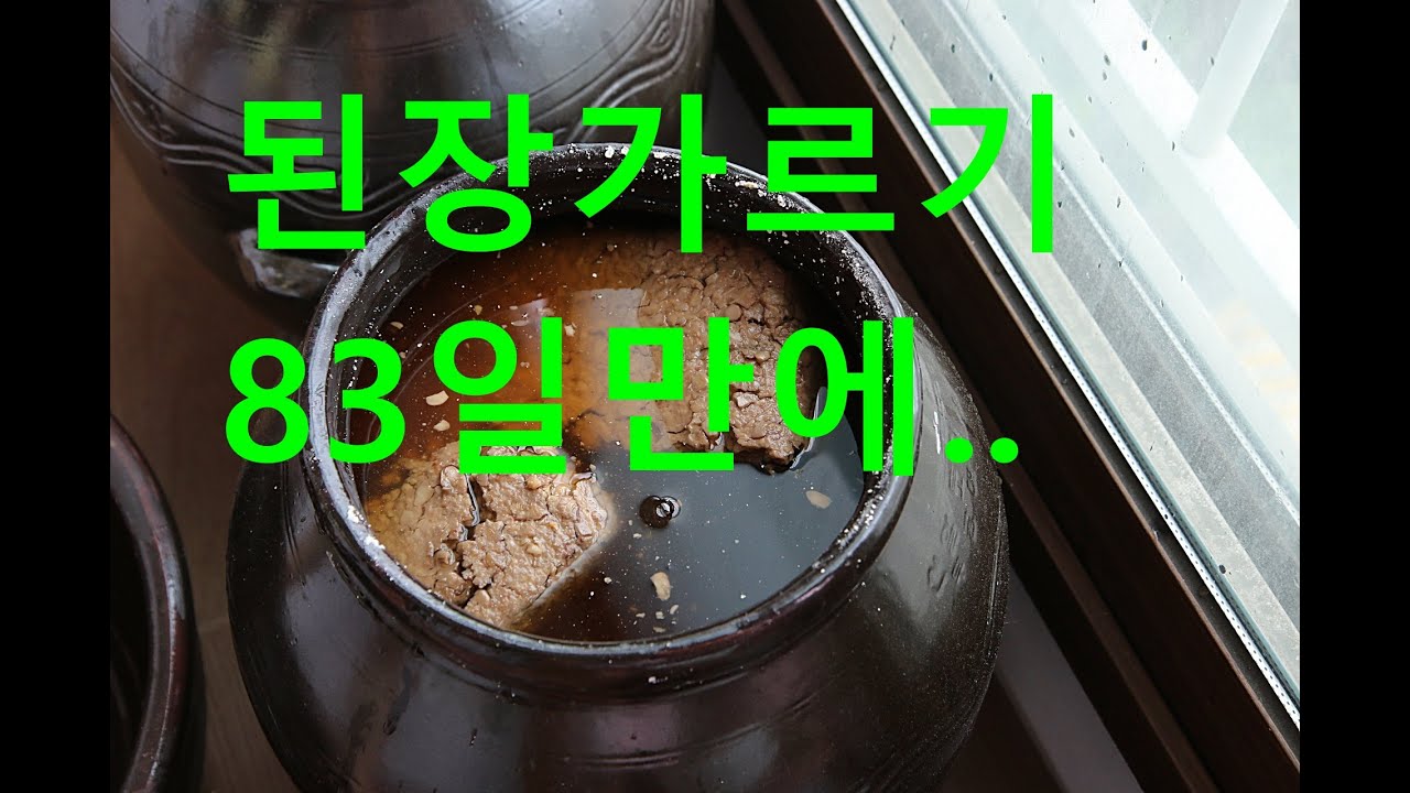 된장가르기 한날 막장가루 고추씨가루 배합비율 흰곰팡이 동행