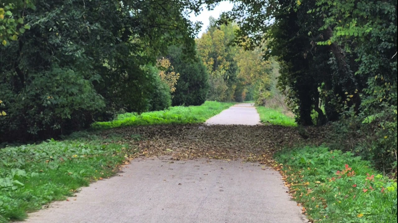 Balade Sonore - LE CHEMIN VERT