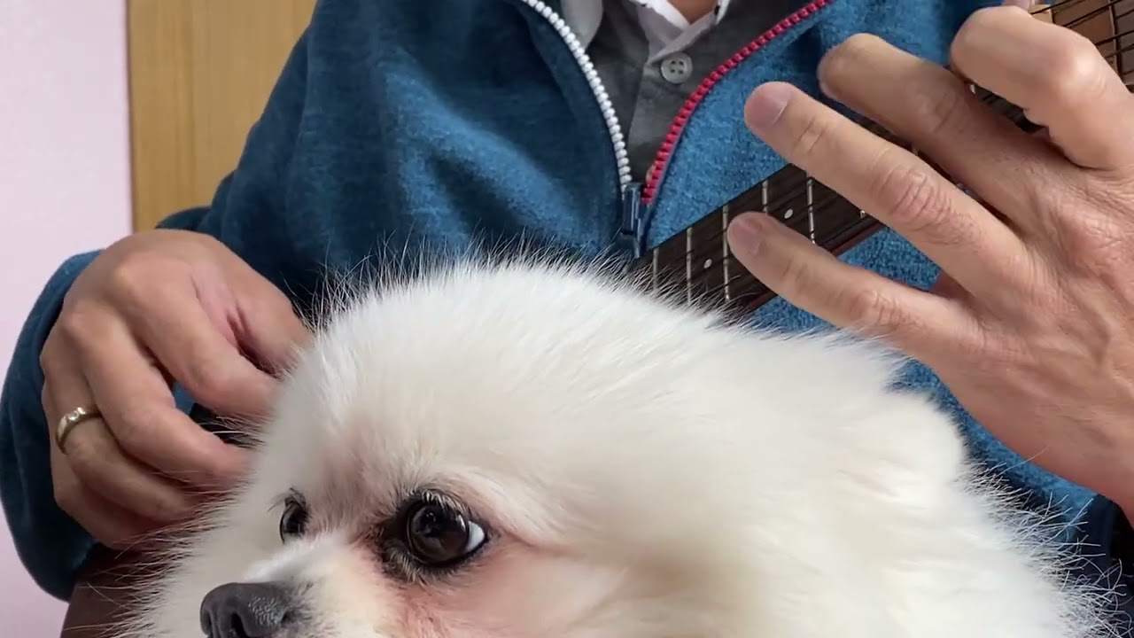 搖籃曲