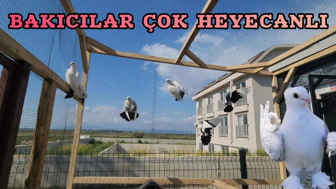 Bakıcıların Kapısını A&ccedil;tık Zorla Dışarı &Ccedil;ıkardık :)