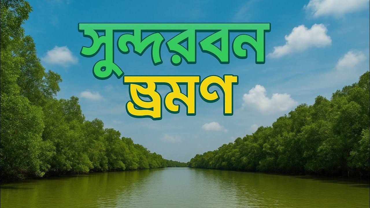 ঘুরে এলাম প্রকৃতির অপূর্ব সুন্দরতম স্হান সুন্দরবন!সুন্দরবন ভ্রমণ ২০২৫।কোথায় যাবেন,কী দেখবেন,কত খরচ।