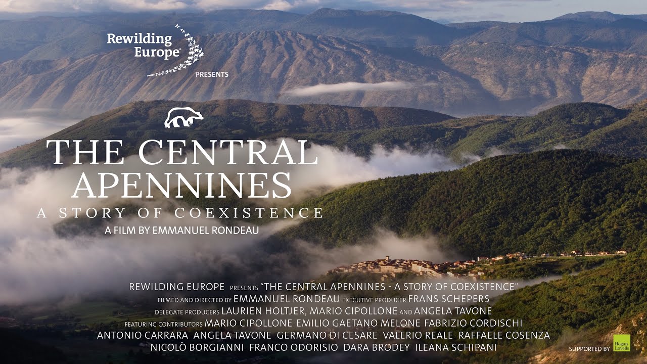Central Apennines: A Story of Co-existence | Documentary by Emmanuel Rondeau | Rewilding Apennines
