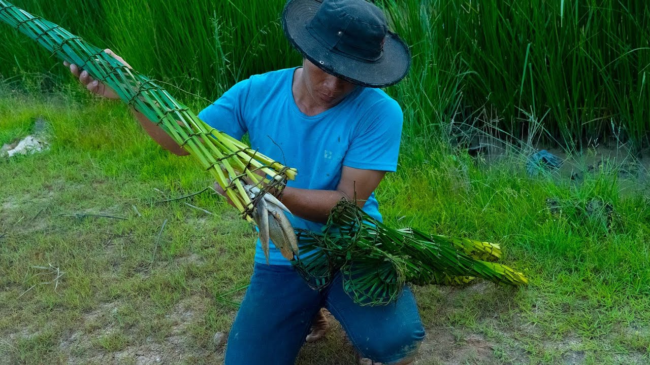Fishing Skills _ Making Long Grass Fish Trapping And Catch Fish.