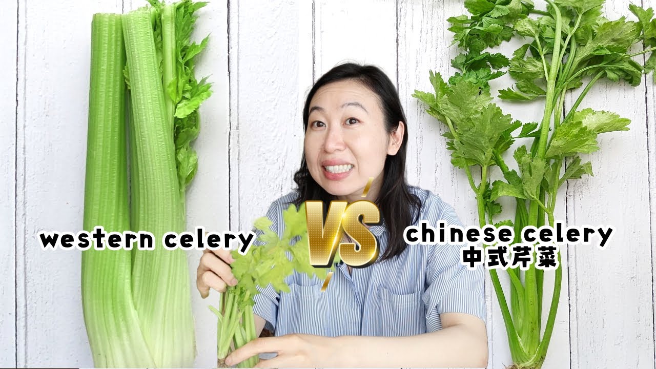 CHINESE CELERY VS. WESTERN CELERY (TASTE TEST!) | NEW INGREDIENT MONDAY 中式芹菜对西芹菜