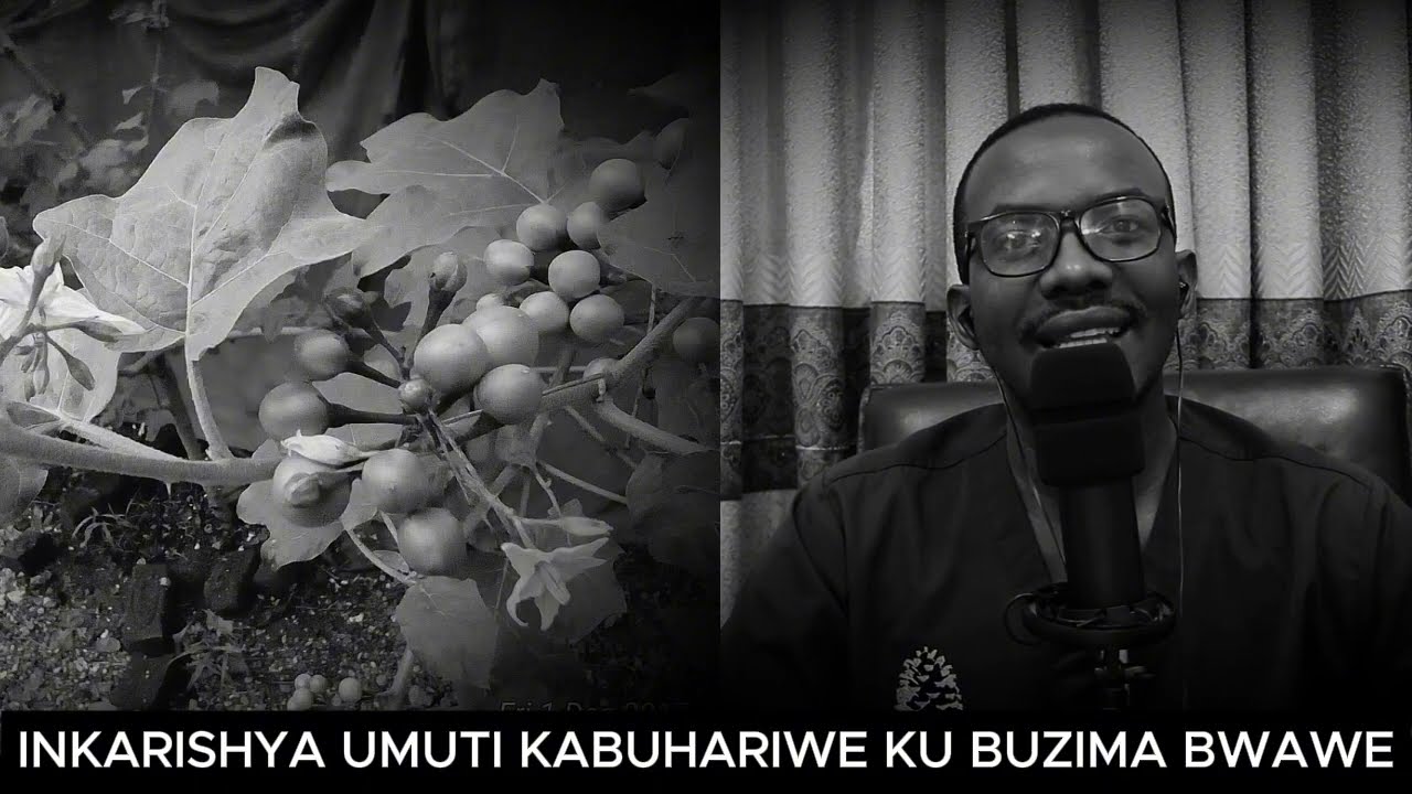 INTAGARASORYO NI UMUTI KABUHARIWE UTAGOMBA KWIRENGAGIZA // ABAGORE BY'UMWIHARIKO MUTERE AGATEBE