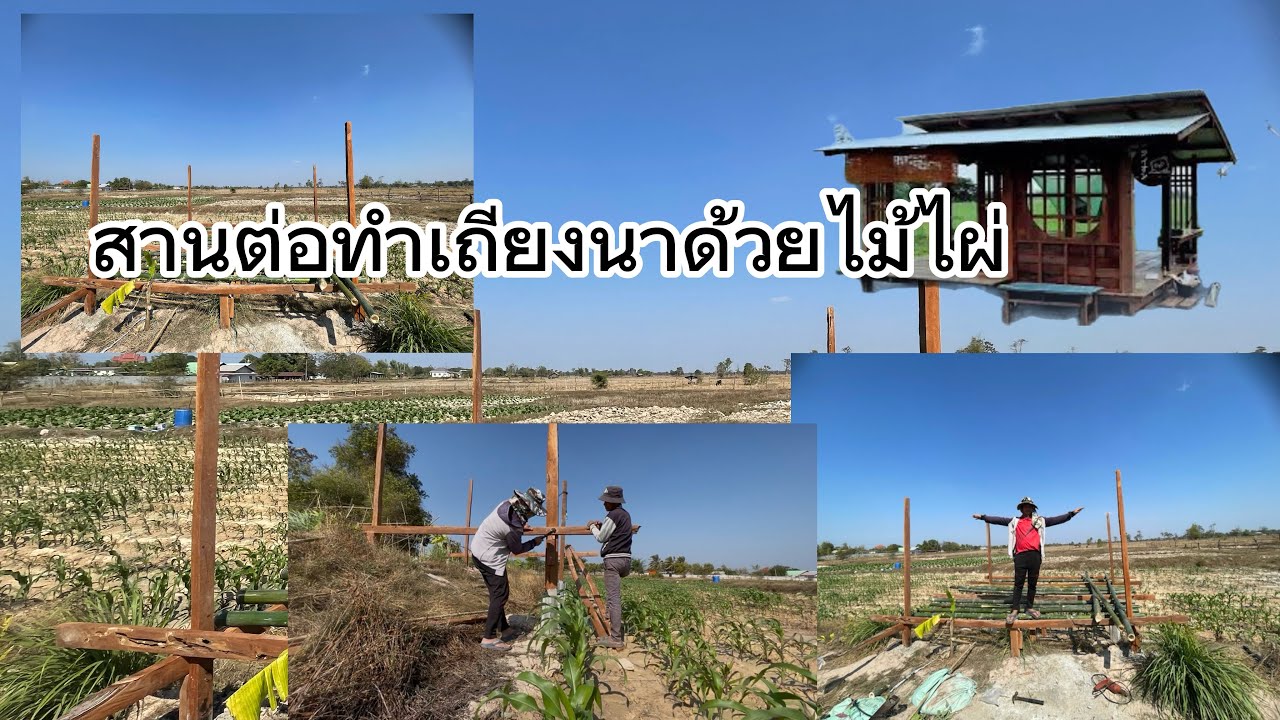 สานต่อทำเถียงนาด้วยไม้ไผ่ Ep2￼
