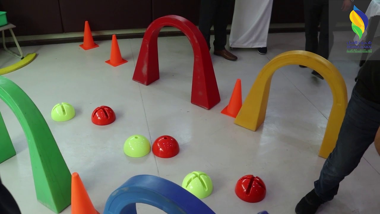 اليوم العالمي للإعاقة 2020