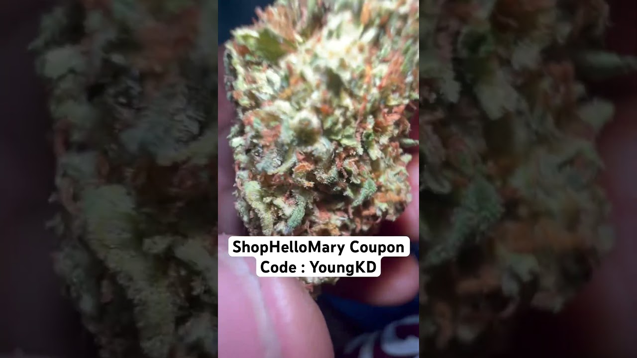 G41 (greenhouse) Shop Hello Mary 🔥