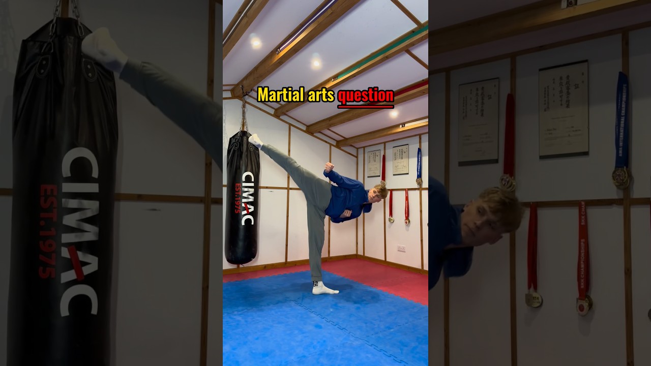 What&rsquo;s the best martial art for the street?