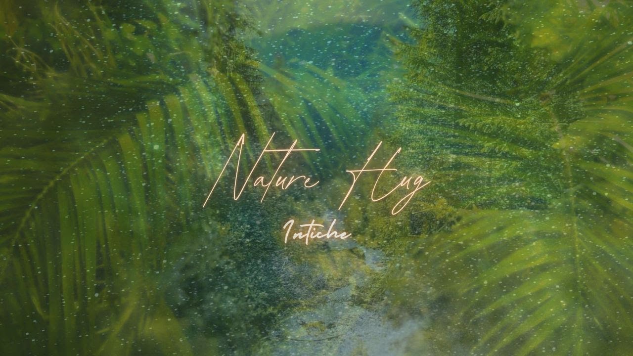 Nature Hug * 528 Hz - Stretched Version 1Hs.