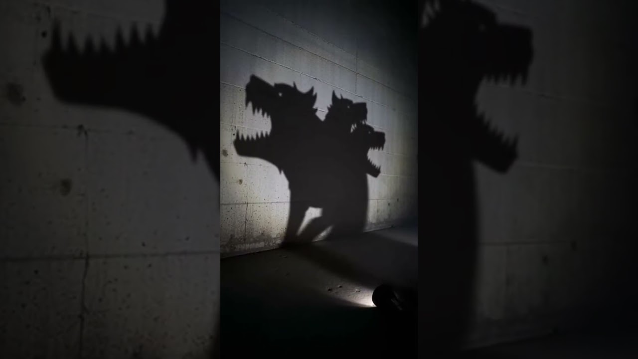 POV: Your Chihuahua’s Shadow Is A Literal Hellhound [EPIC SHADOW] (2026)