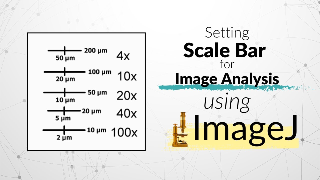 Как настроить масштабную линейку с помощью программы ImageJ | Микроскоп | Обработка изображений #...