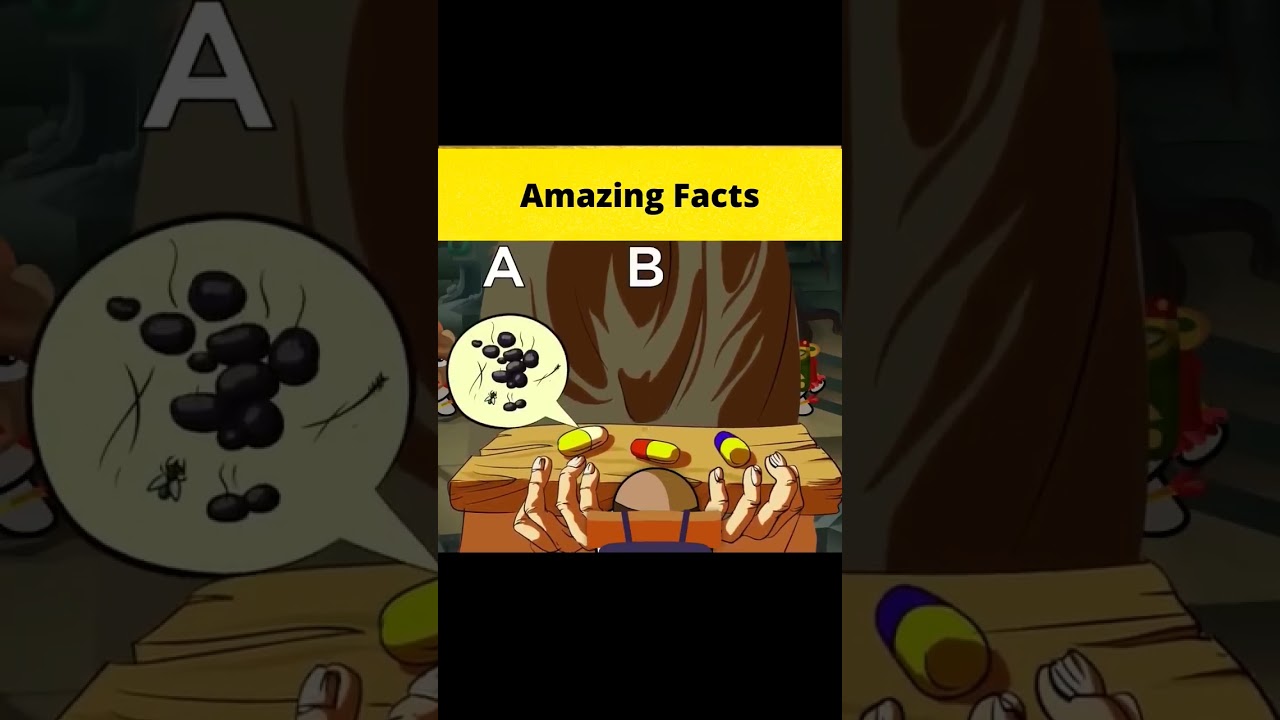 Amazing facts video #subscribe #funny #facts4u #shorts
